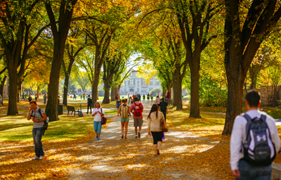 Group students walking in the USask Bowl surrounded by trees