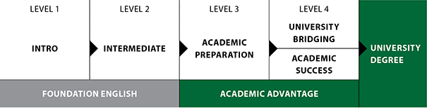 eap-levels.jpg